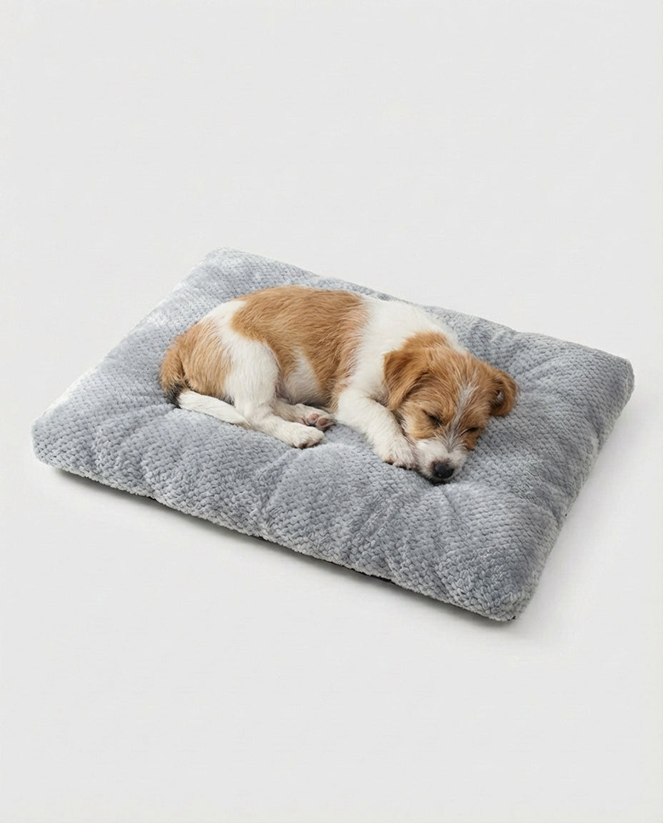 Dog Pet Bed Thick Cushion Mat Non-Slip Base | Indoor Use