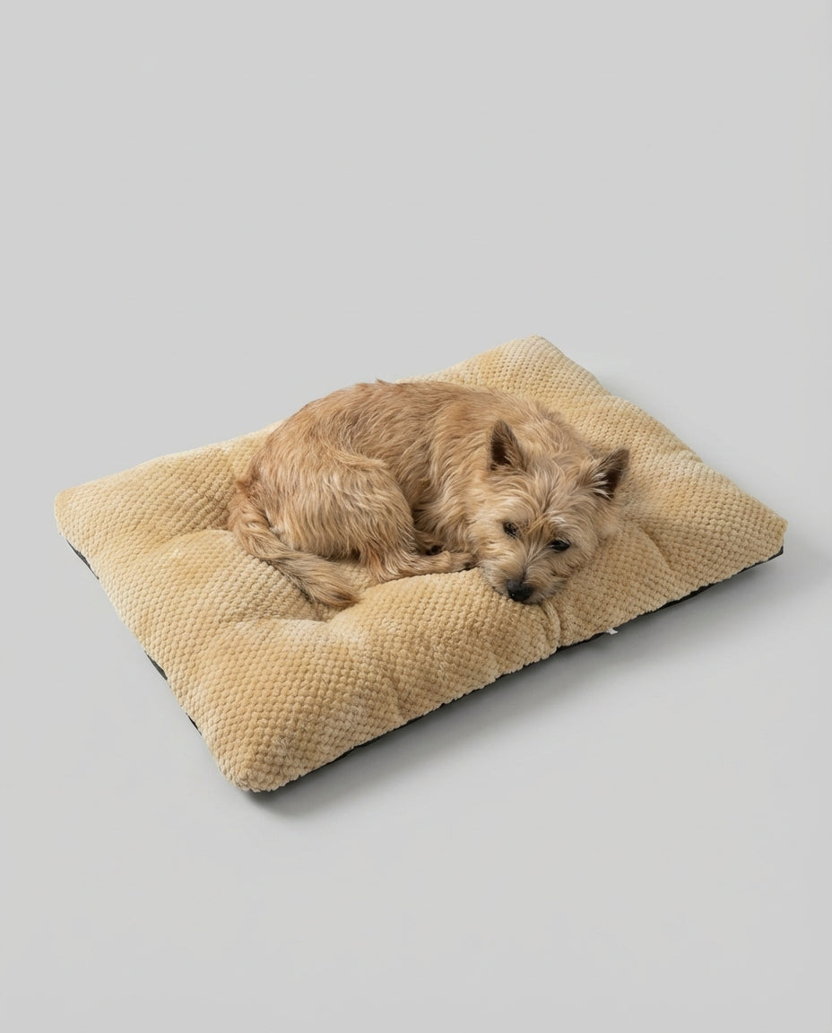Dog Pet Bed Thick Cushion Mat Non-Slip Base | Indoor Use