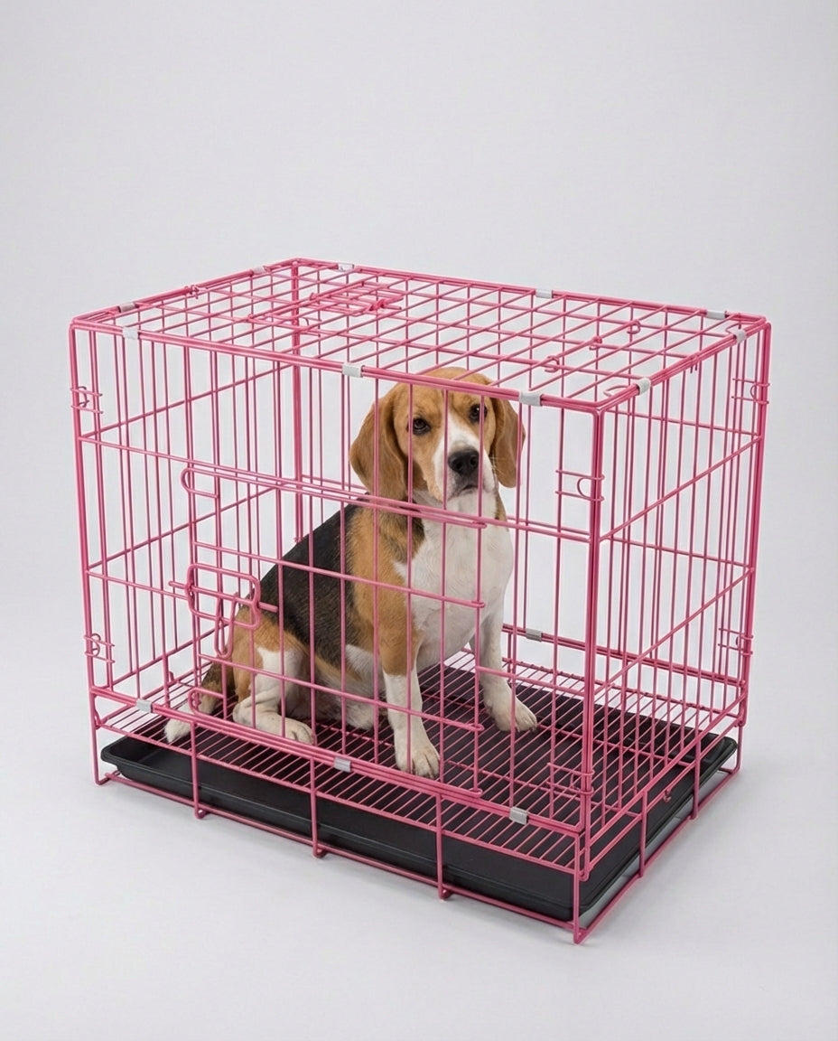 Dog and Cats Crates Double Door Foldable | Indoor Training
