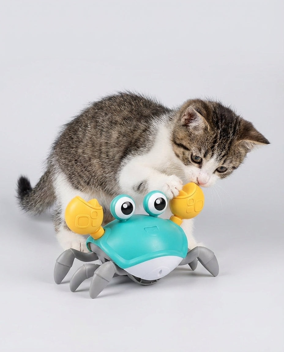 Electric Interactive Toys for Dogs and Cats Moving Crab | Indoor Play