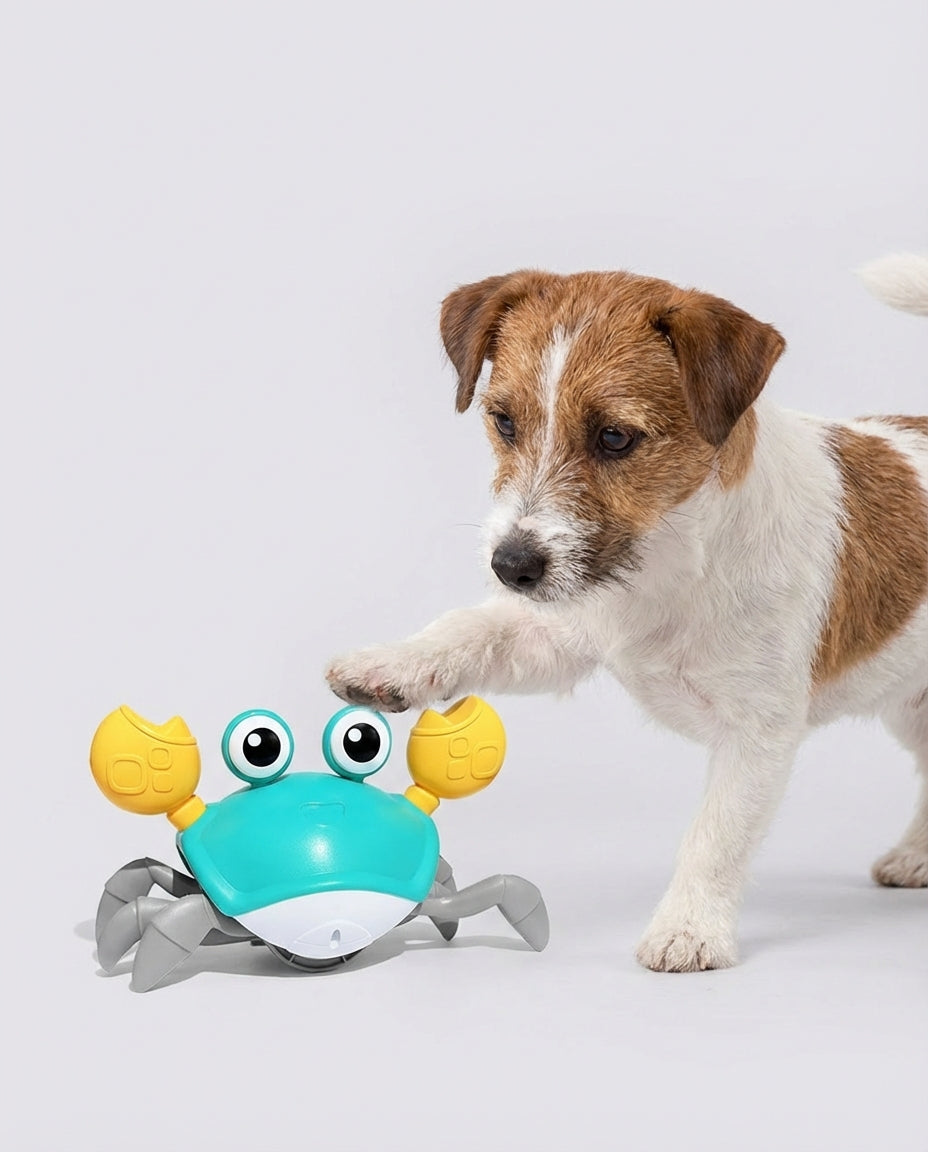 Electric Interactive Toys for Dogs and Cats Moving Crab | Indoor Play