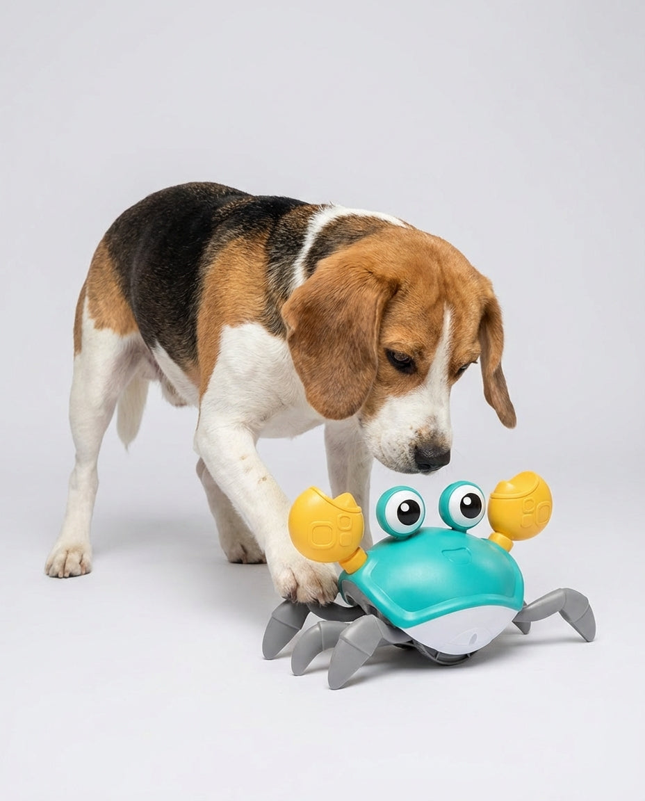 Electric Interactive Toys for Dogs and Cats Moving Crab | Indoor Play