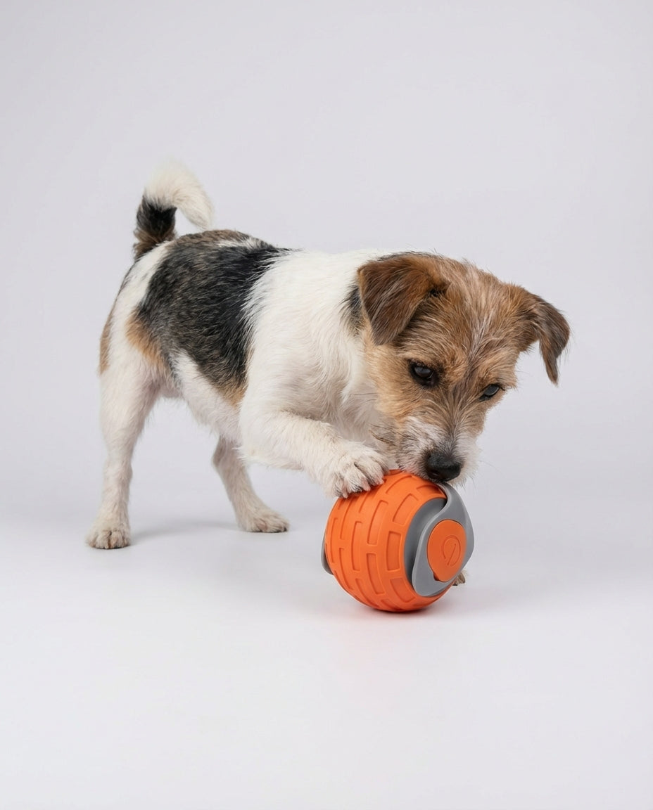 Electric Interactive Toys for Dogs and Cats Rolling Ball | Indoor Play