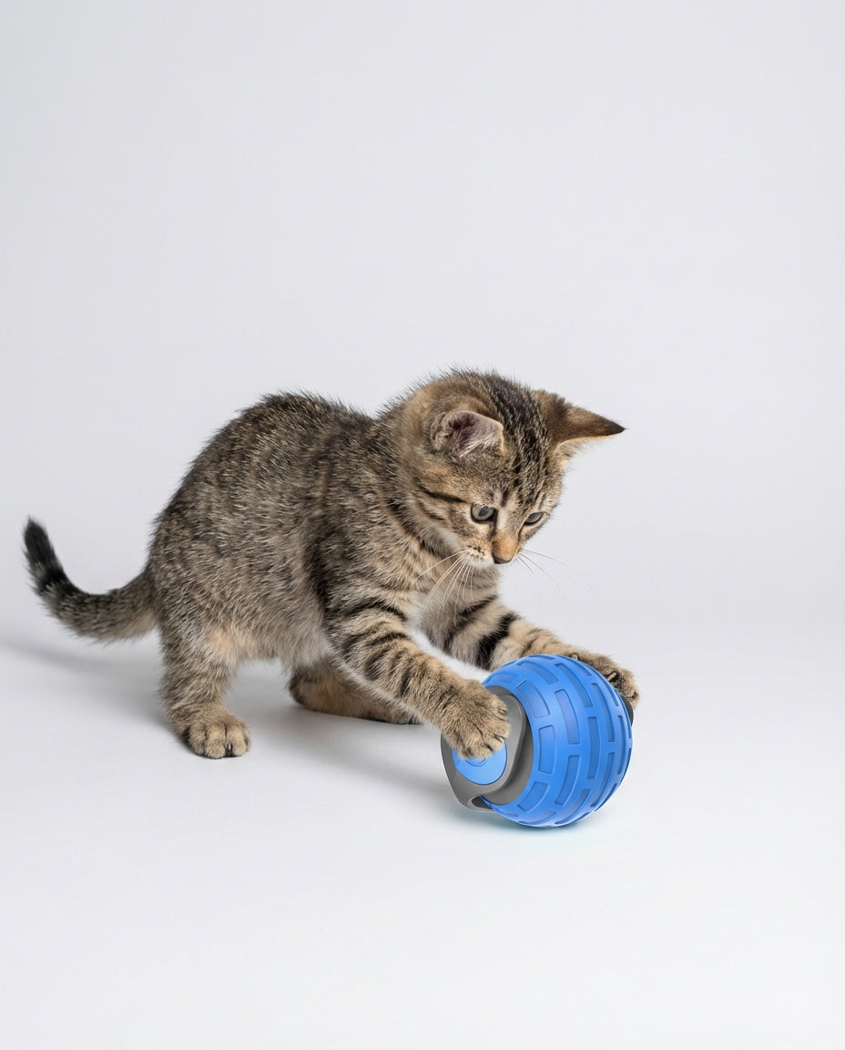 Electric Interactive Toys for Dogs and Cats Rolling Ball | Indoor Play