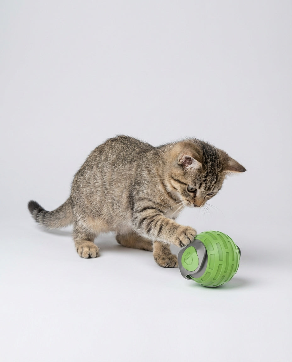 Electric Interactive Toys for Dogs and Cats Rolling Ball | Indoor Play