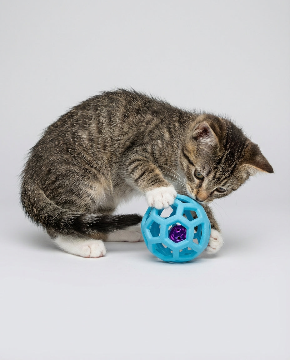 Interactive Toys for Dogs and Cats Bell Ball | Playtime
